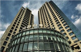 中國鋁(lǚ)業股份****