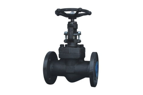 鍛鋼(gang)截止閥 鍛(duan)鋼截止閥