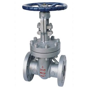 航天泵閥 (1) 航(hang)天泵閥 (1)