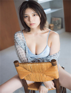 飞龙再生国语