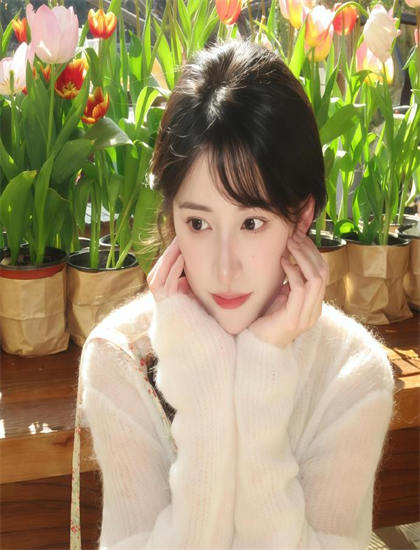 引人入胜的《台湾全攻略》有哪些精彩看点？亮点情节详细解析